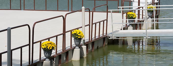 flowers on the dock